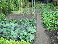 2013-0615-1510_Garden_14,6C
